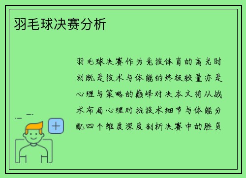 羽毛球决赛分析