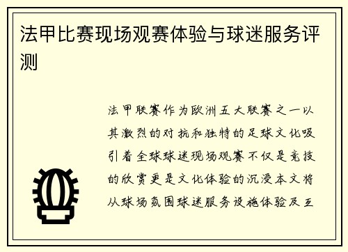 法甲比赛现场观赛体验与球迷服务评测